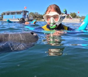 Family fun swimming with manatees